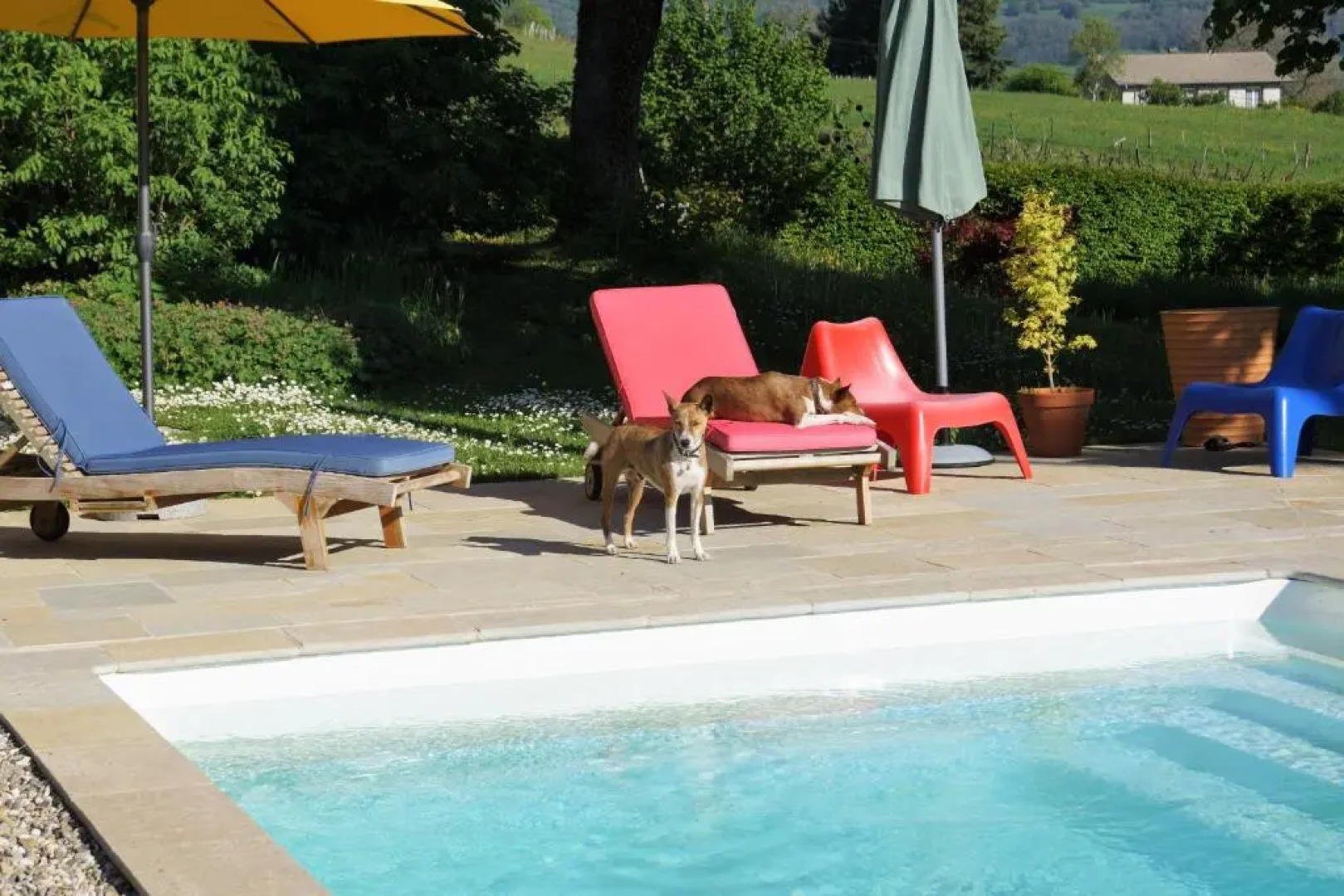 Domaine de Saint Loth'