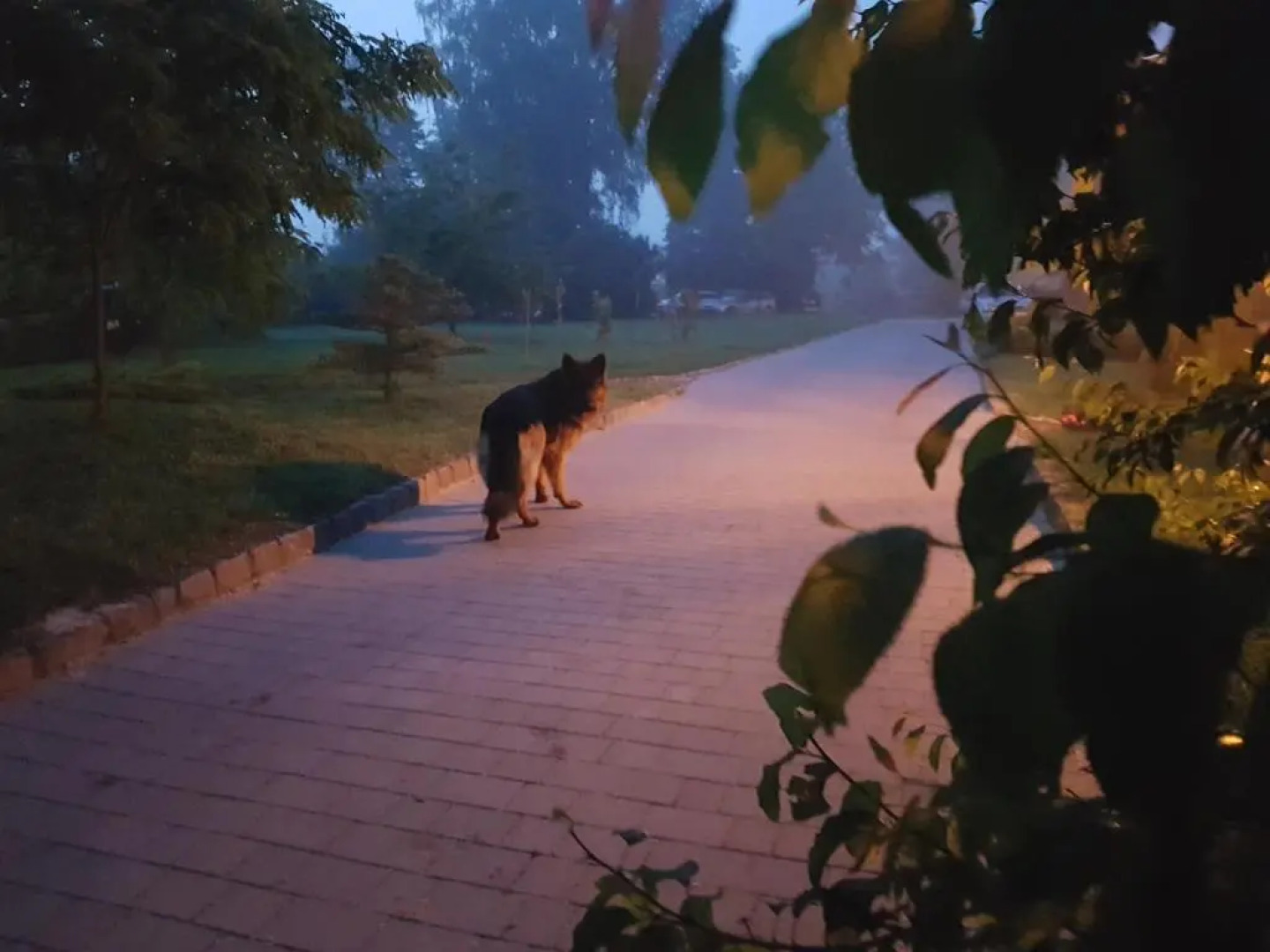 Dwór na Wichrowym Wzgórzu