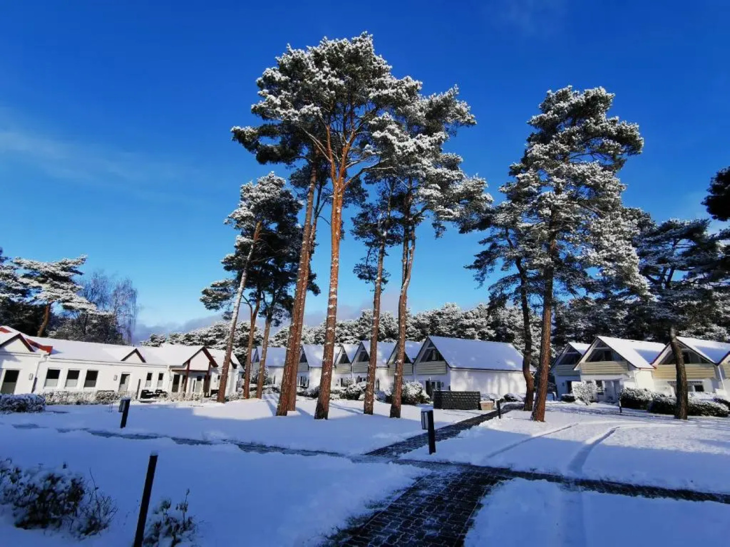 Ferienanlage Haus hinter den Dünen