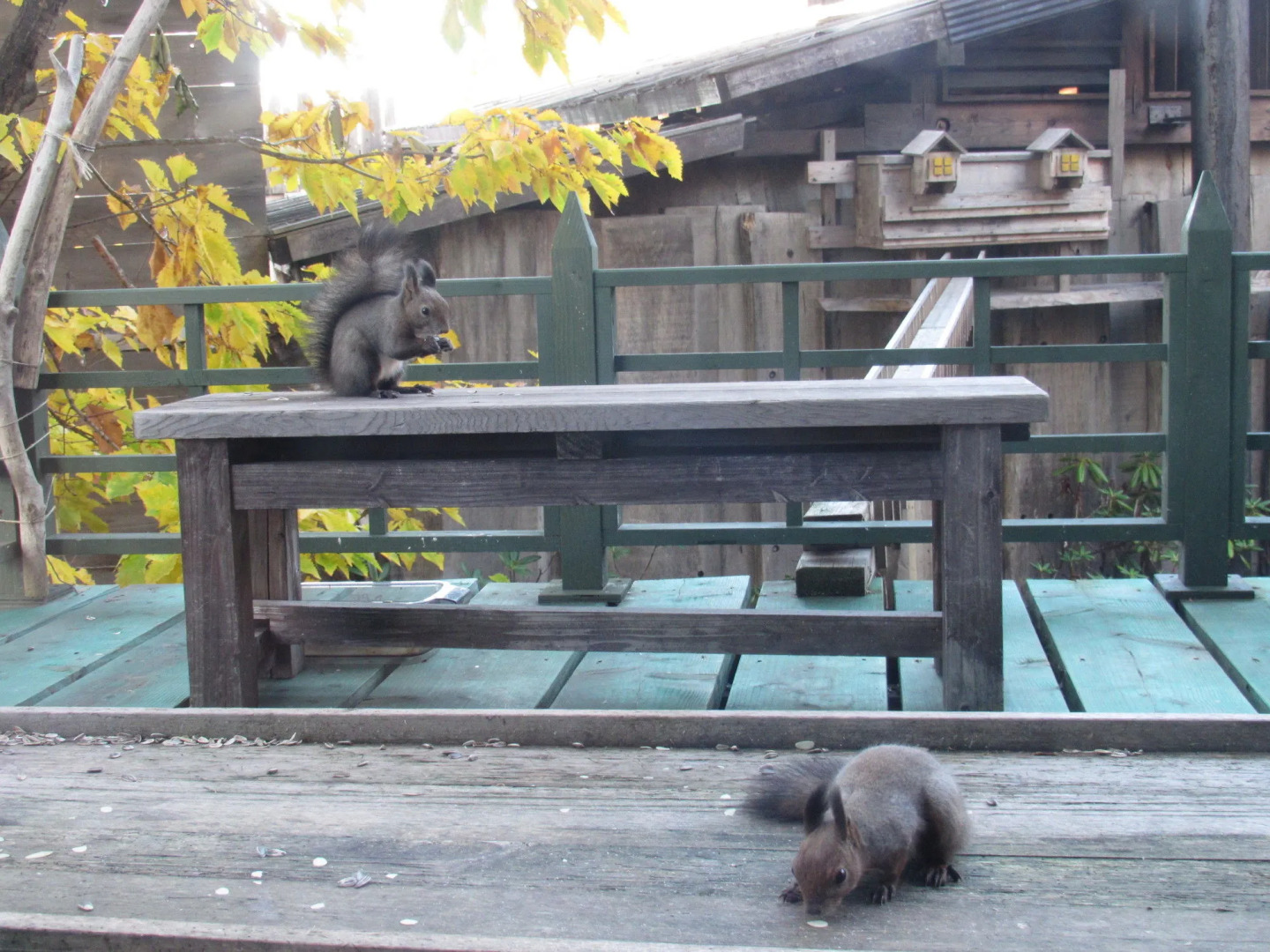 Auberge Kita No Dan Dan