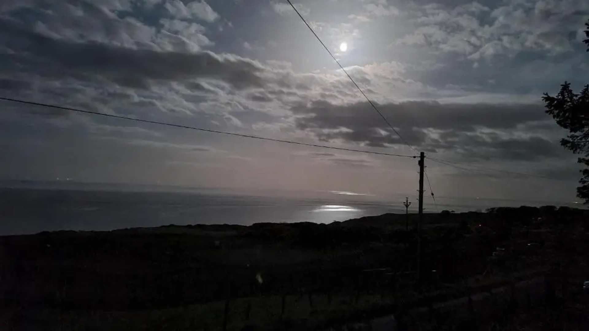 The Tall Pines Studio