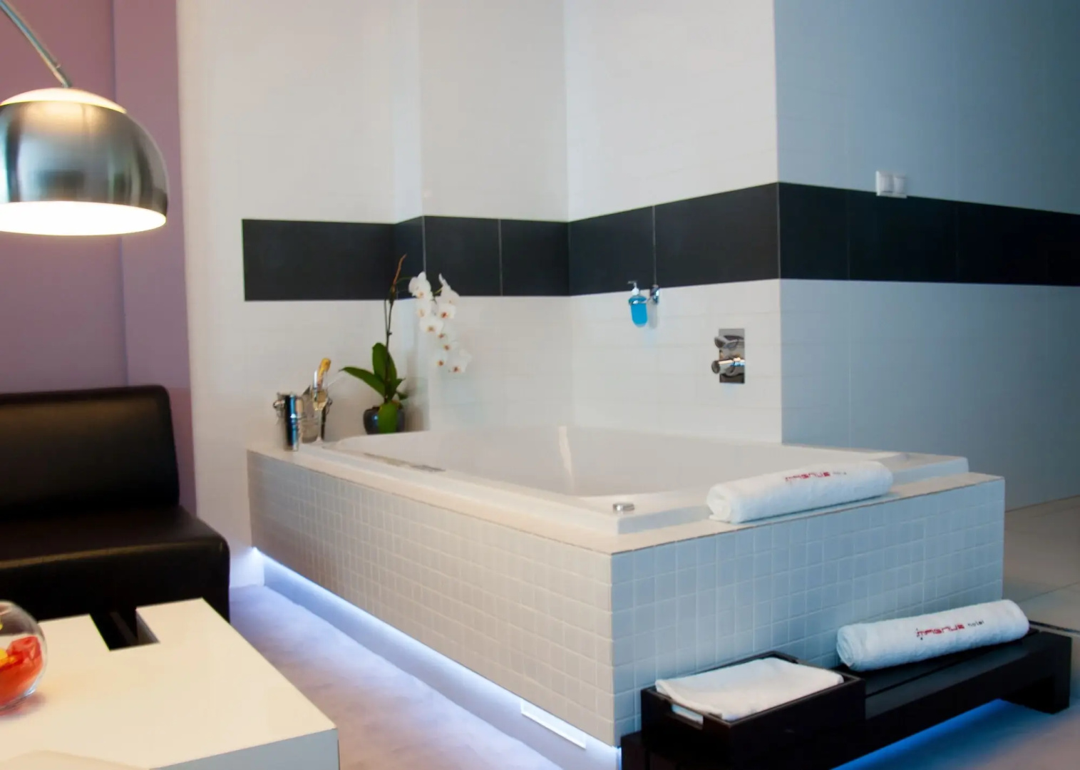 Hotel Magnus
