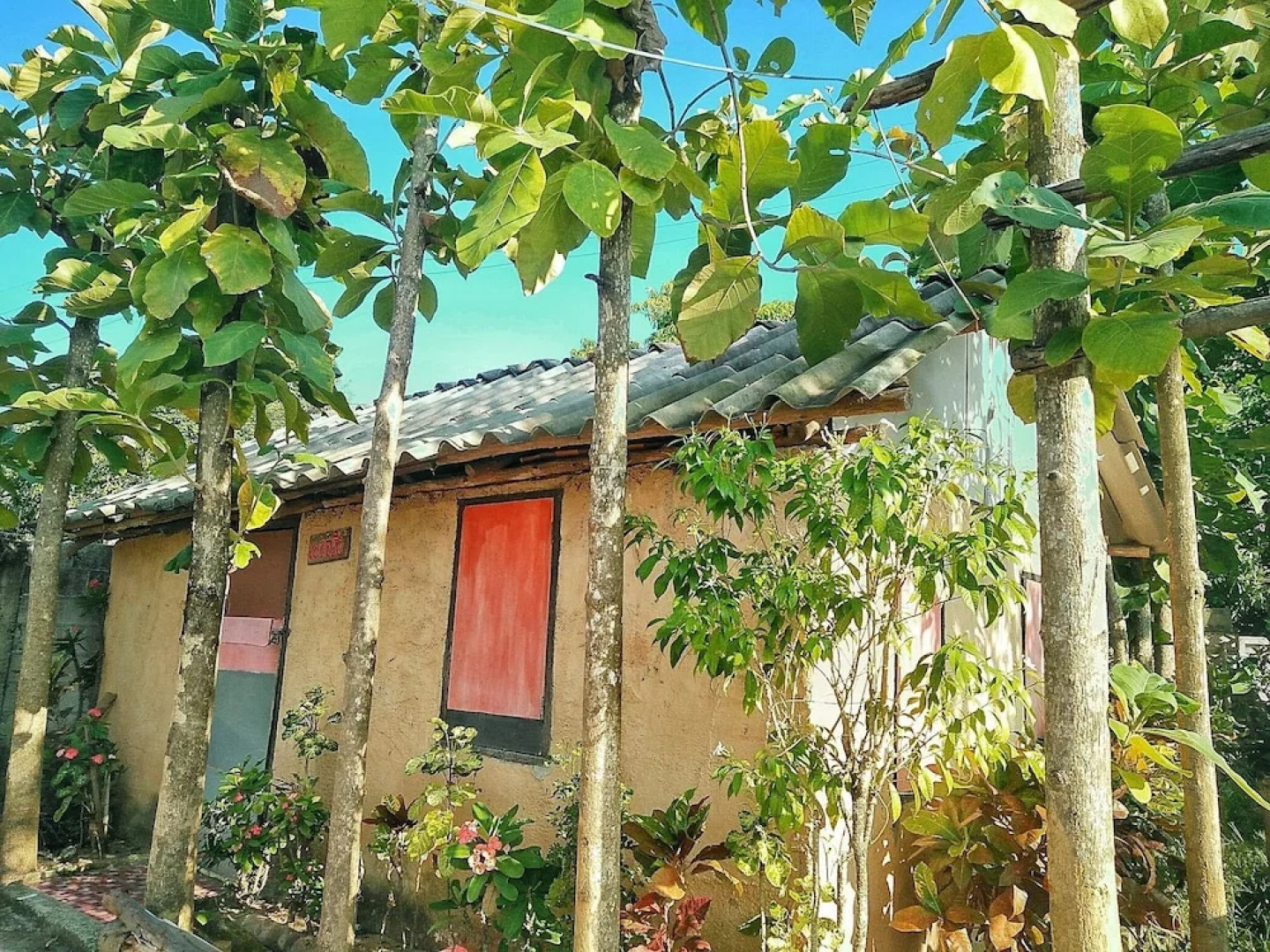 Tiddin Resort & Garden