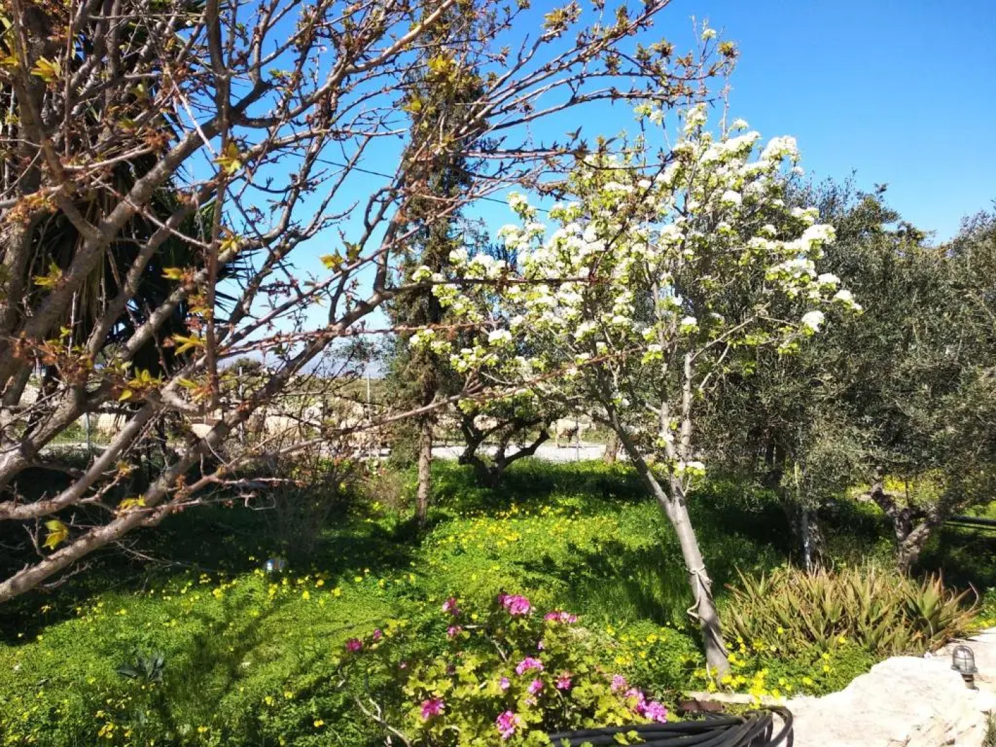 Villa Serapis Aletraki Off grid