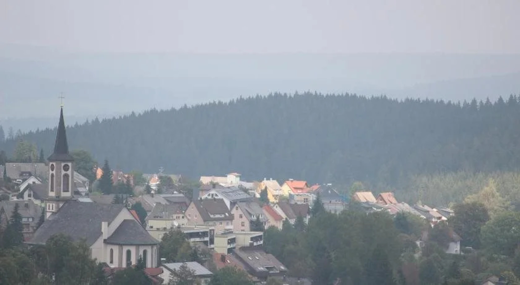 Gasthof Schwarzwaldtanne