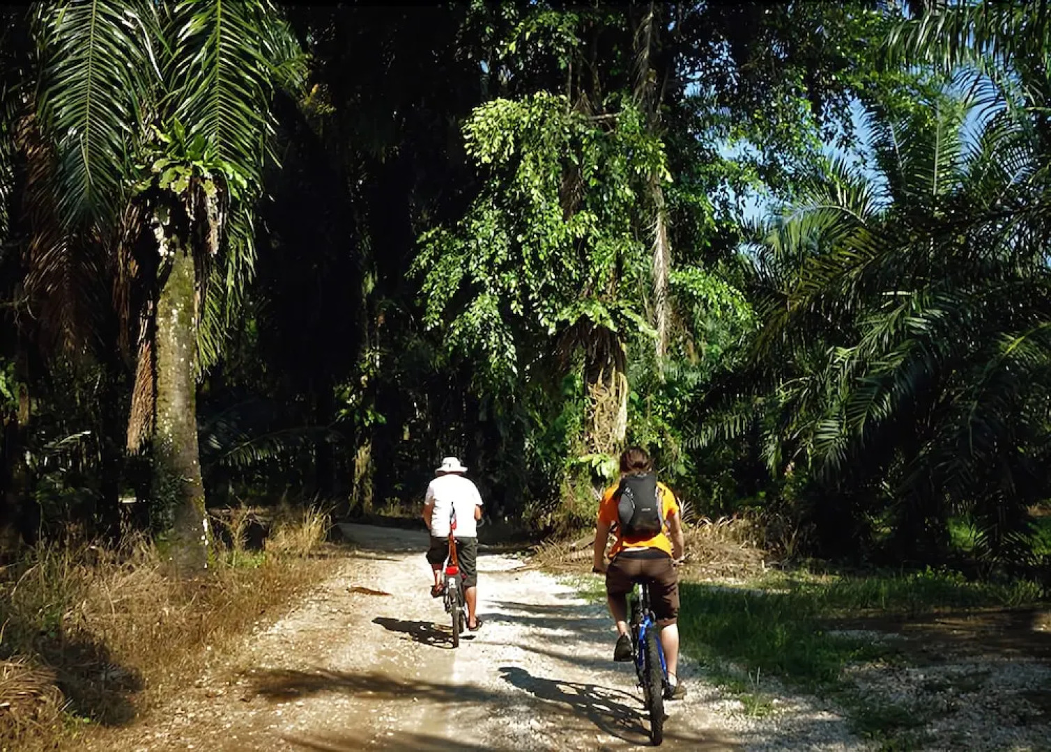 Gopeng Guesthouse & Cafe - Hostel