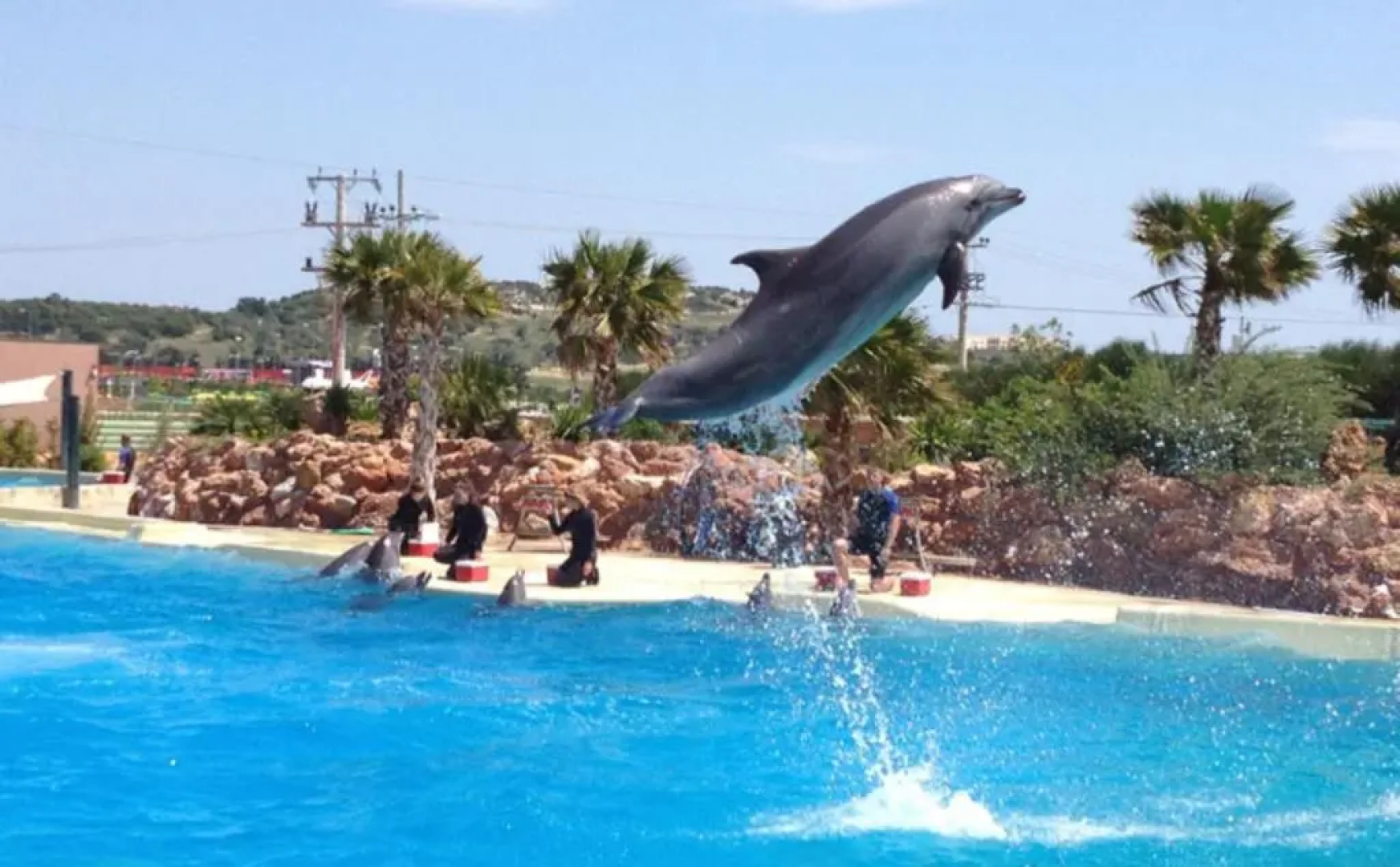 Peggy's Villa-House with private pool 25' from Athens Intl Airport