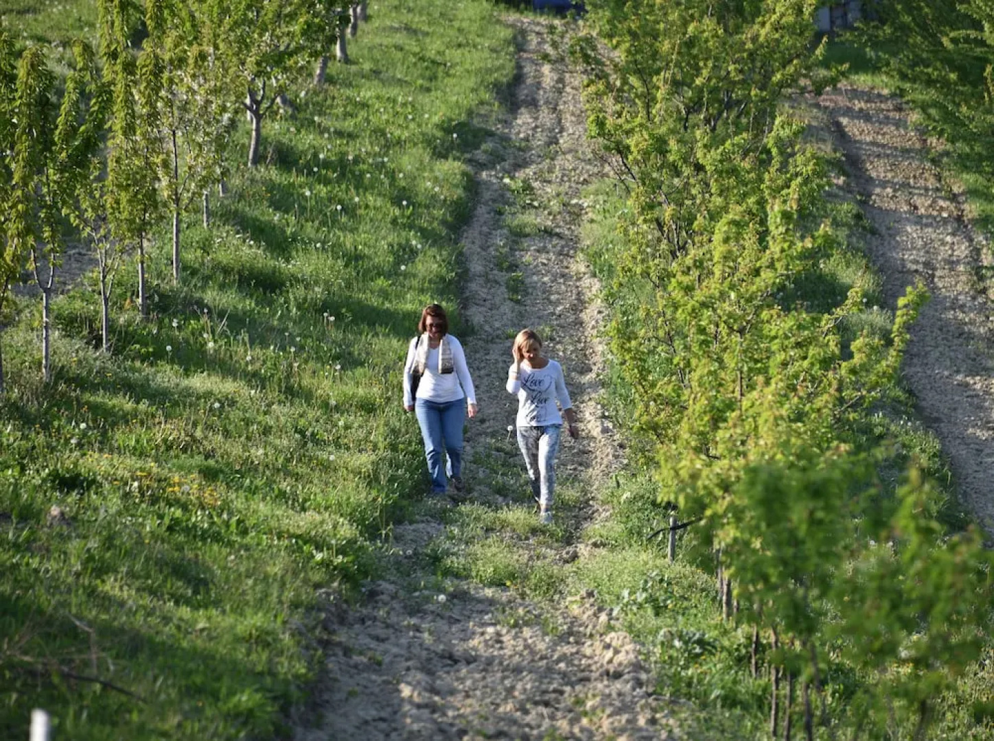 CasaMatilda Agriturismo Langhe