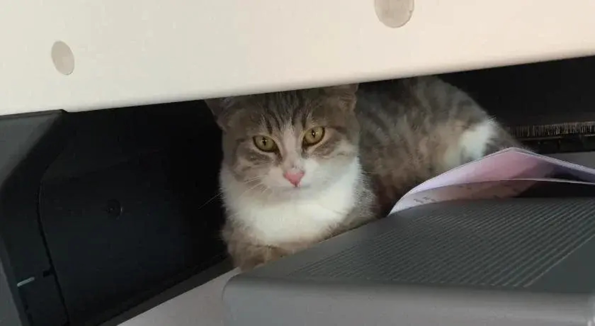 Le Vigne della Duchessa - Guest House