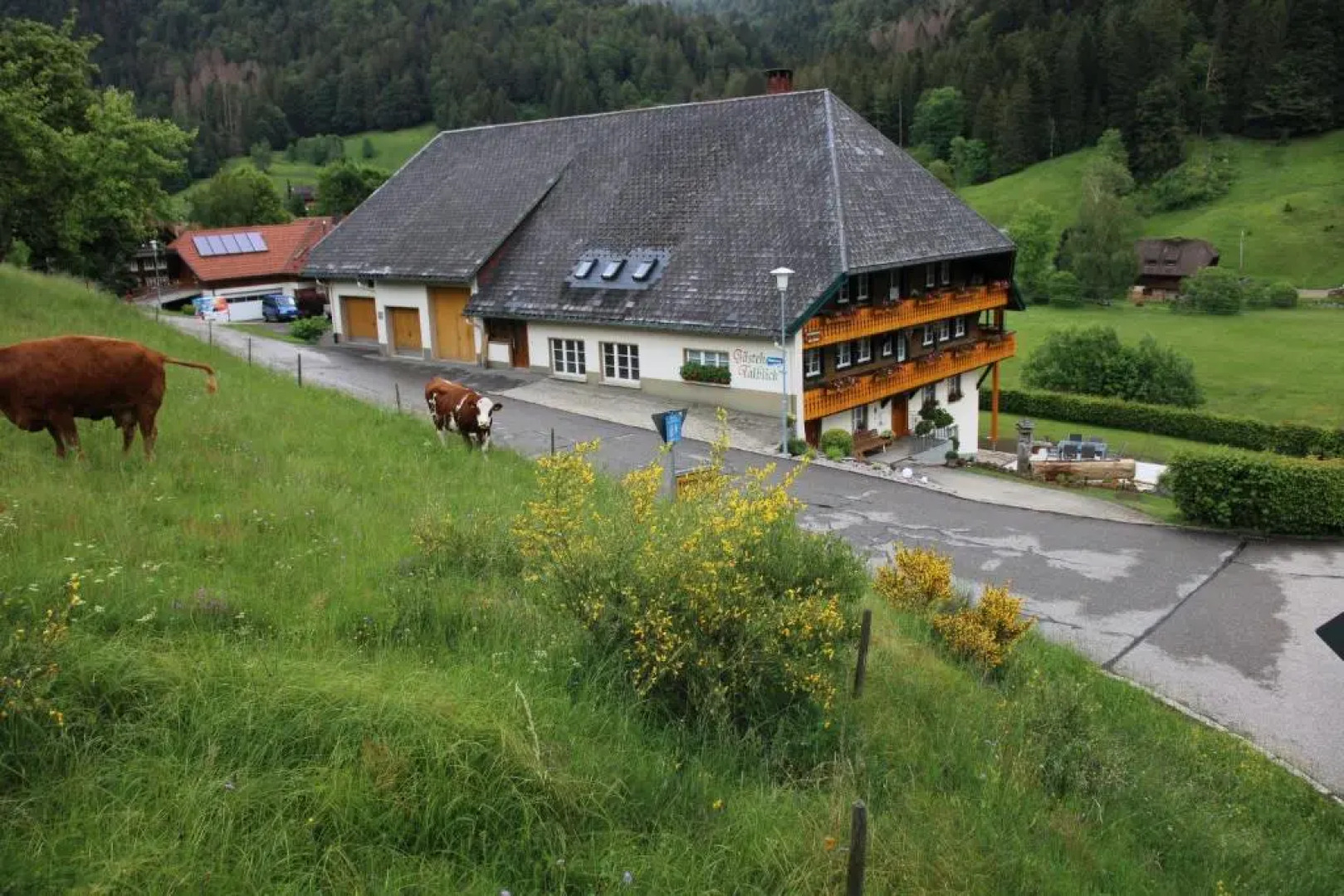 Gästehaus Talblick