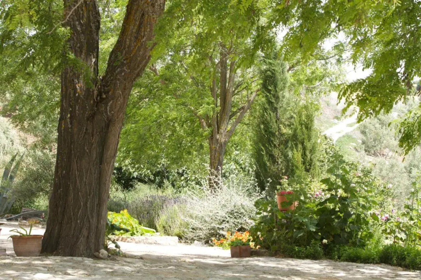 La Escuela del Campo