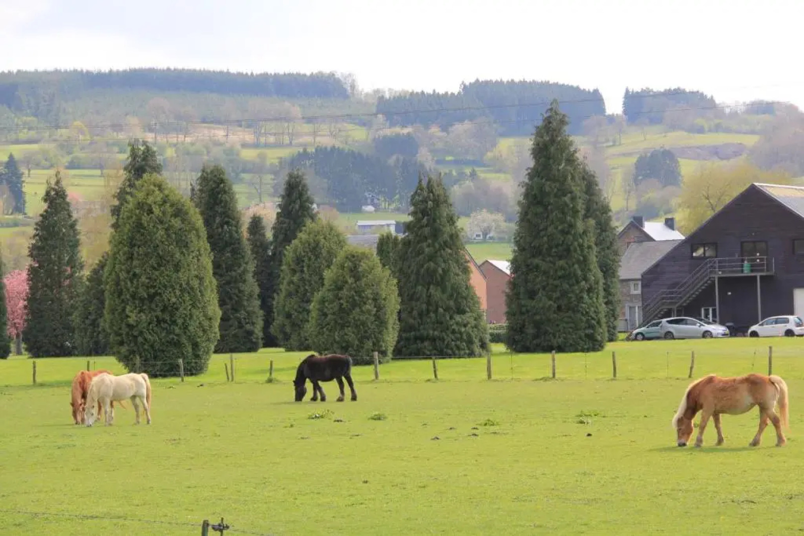 Gîte les beaux-arts