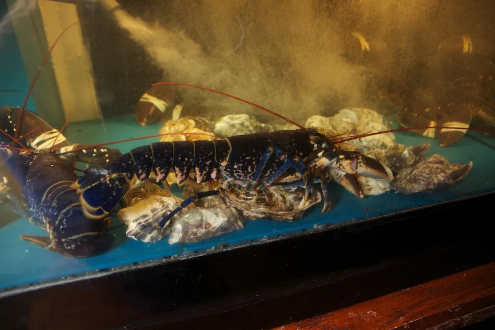 McMunn's Of Ballybunion