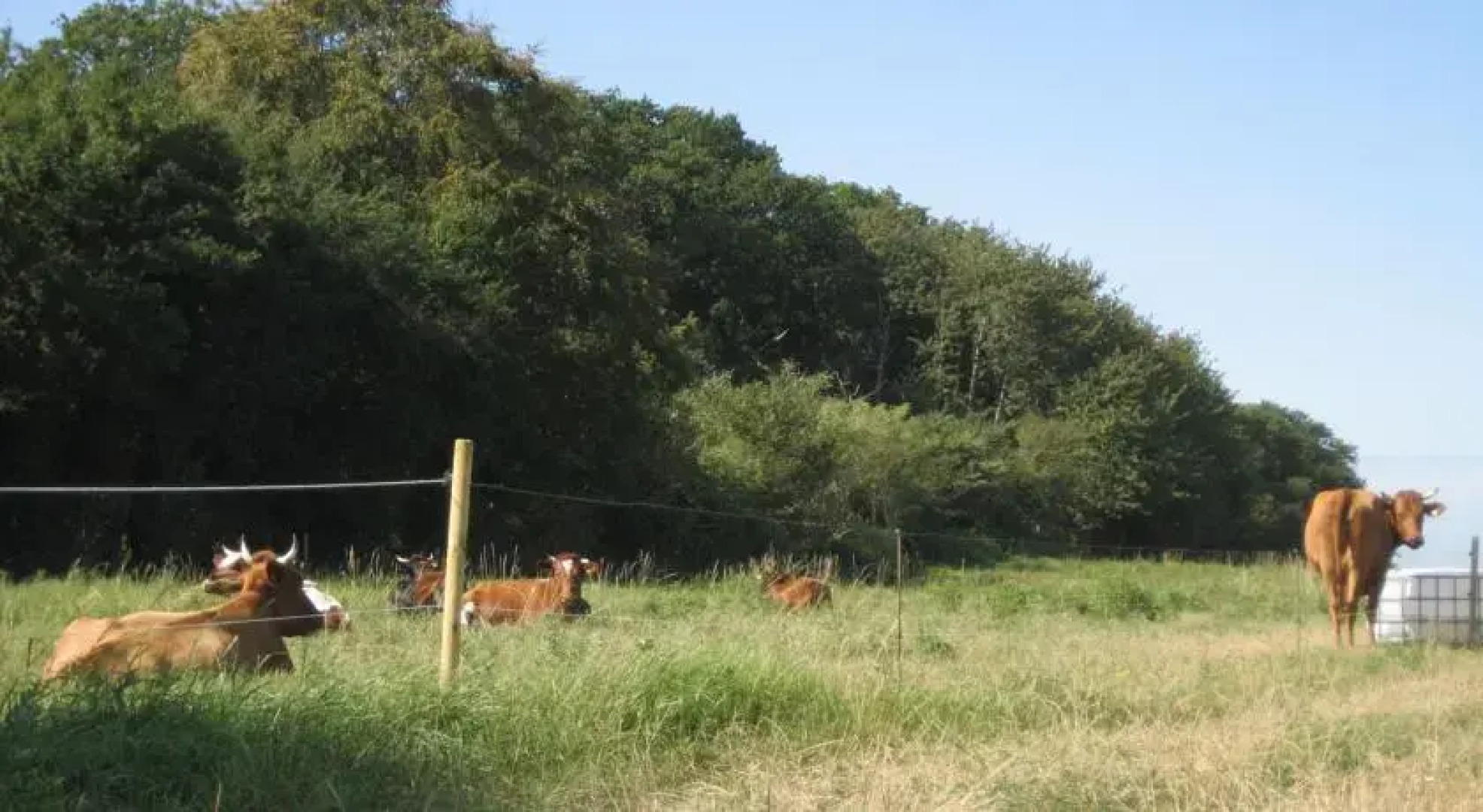 Fuglsang Farm Holiday