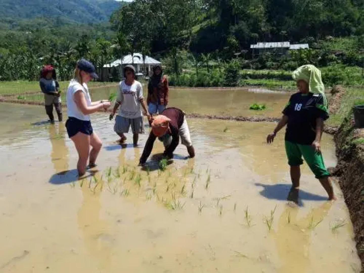 D-Rima Homestay Ruteng