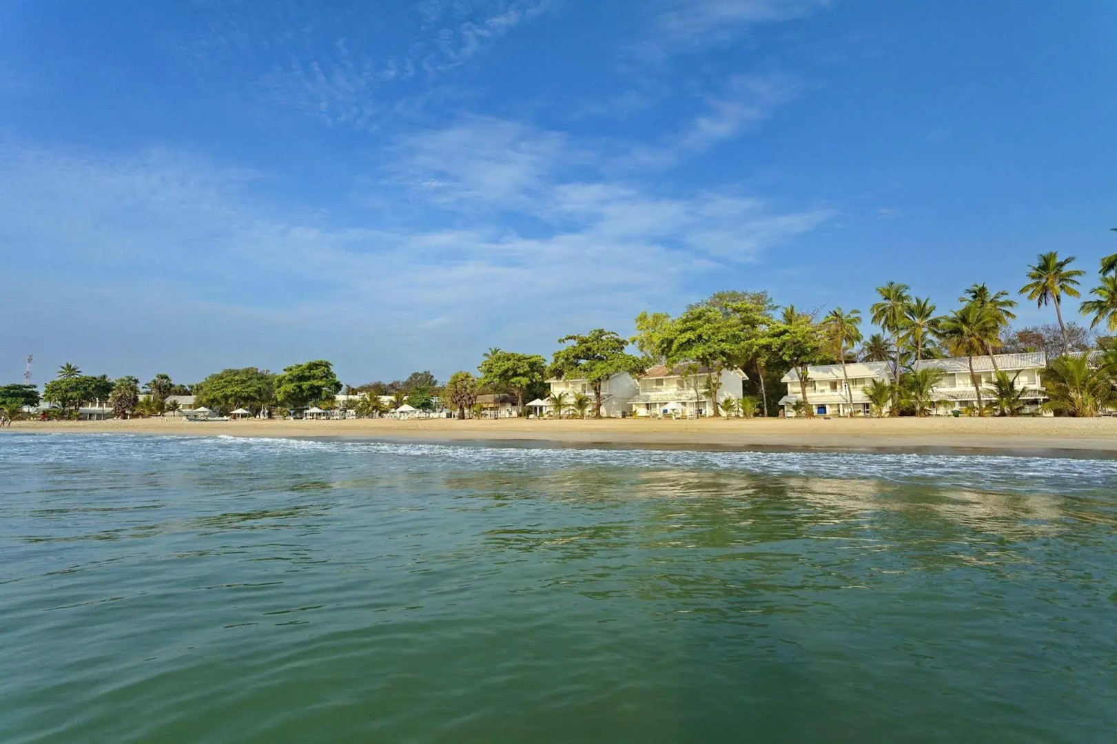 Trinco Blu by Cinnamon