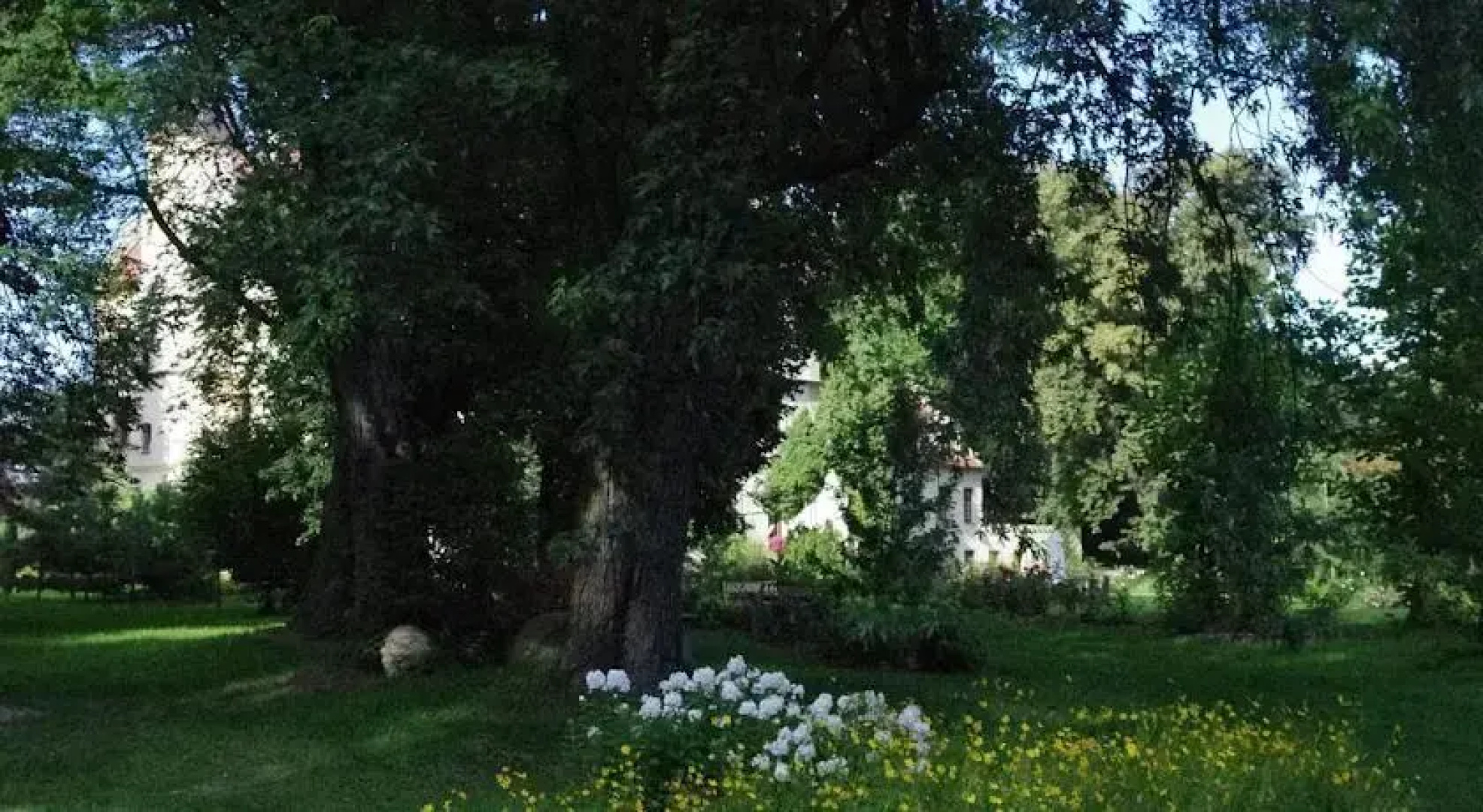 Zamek w Czernej