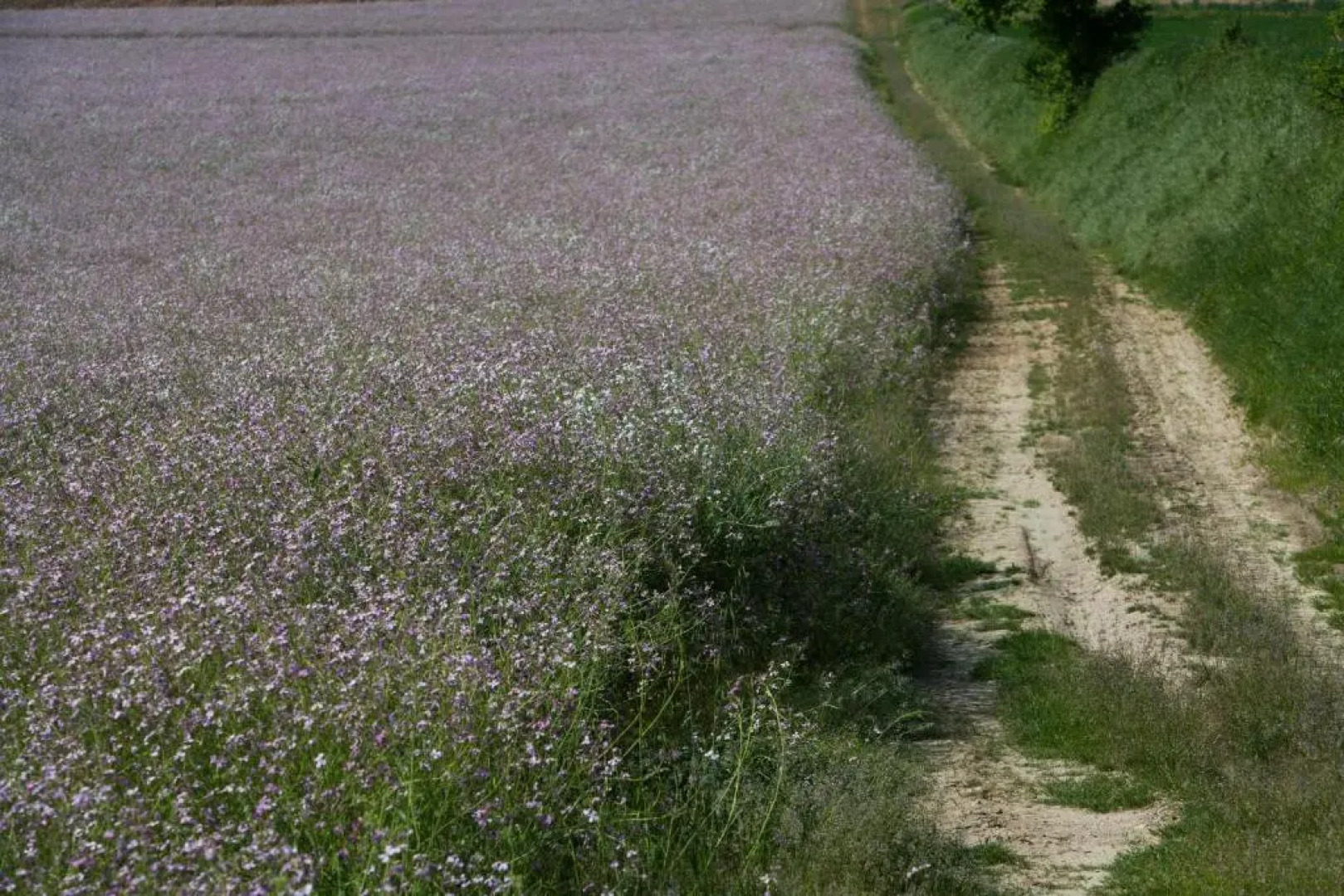 Hotel Palazzo Brunamonti