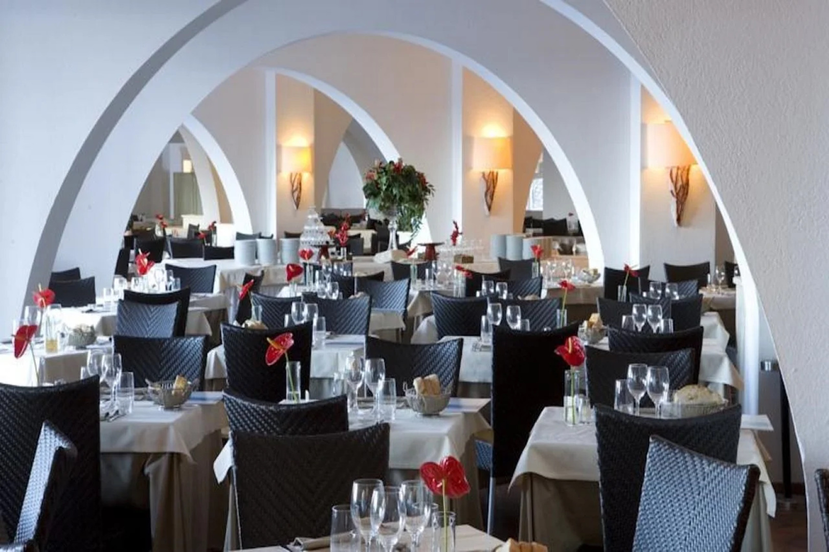 Hotel Flamingo Resort