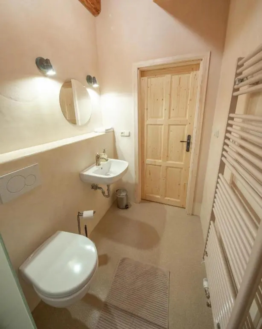 Apartment Ve Mlýně