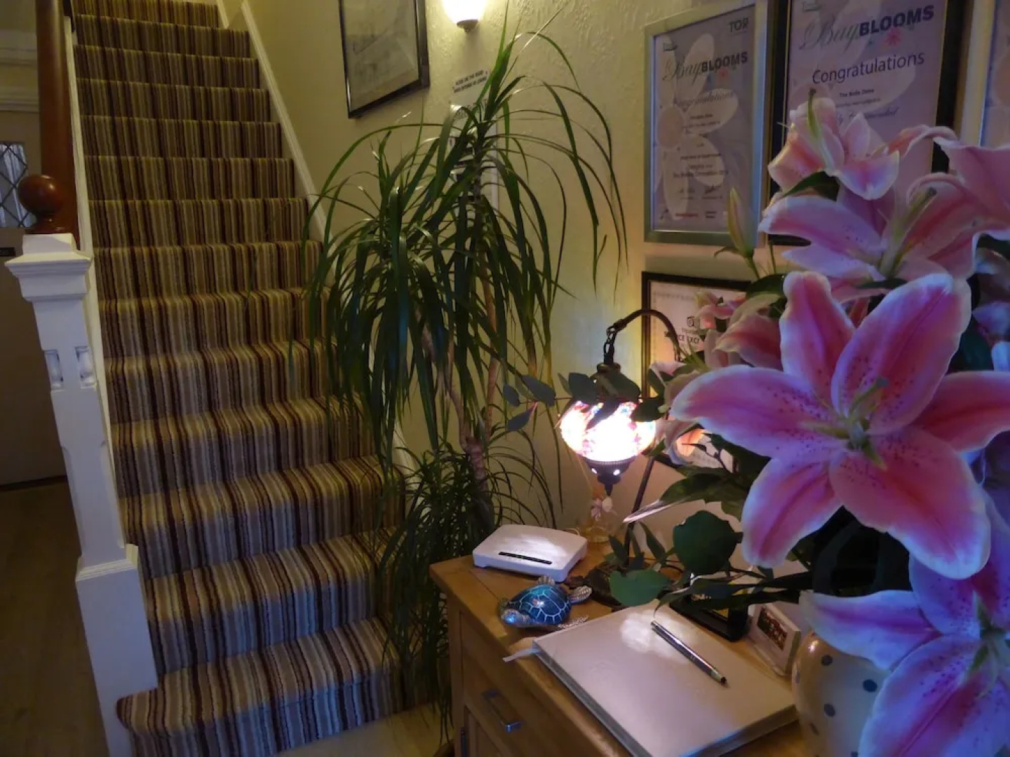 Belle Dene Guest House