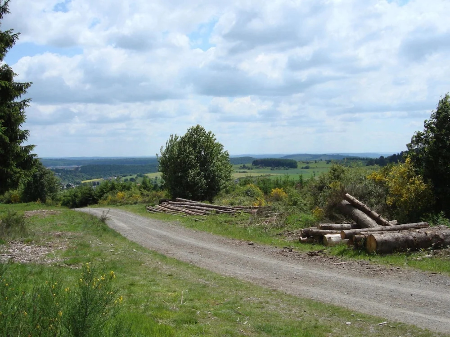 Home With Garden, Hallenberg