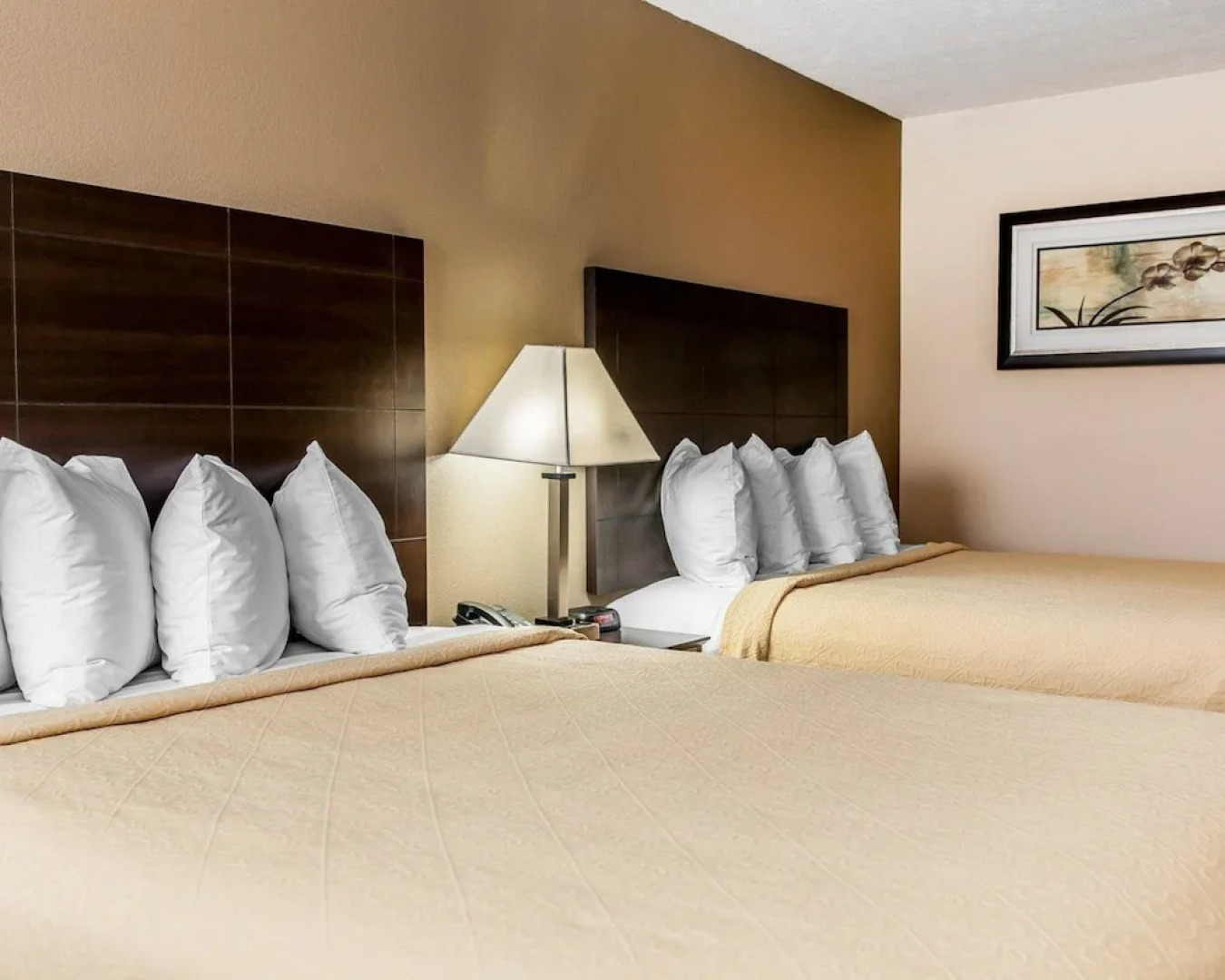 Quality Inn & Suites  Mattoon Area