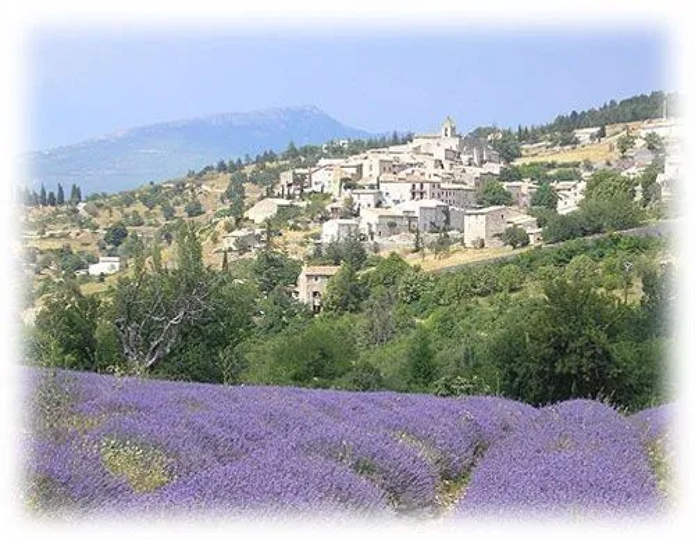 Logis Le Relais Du Mont Ventoux