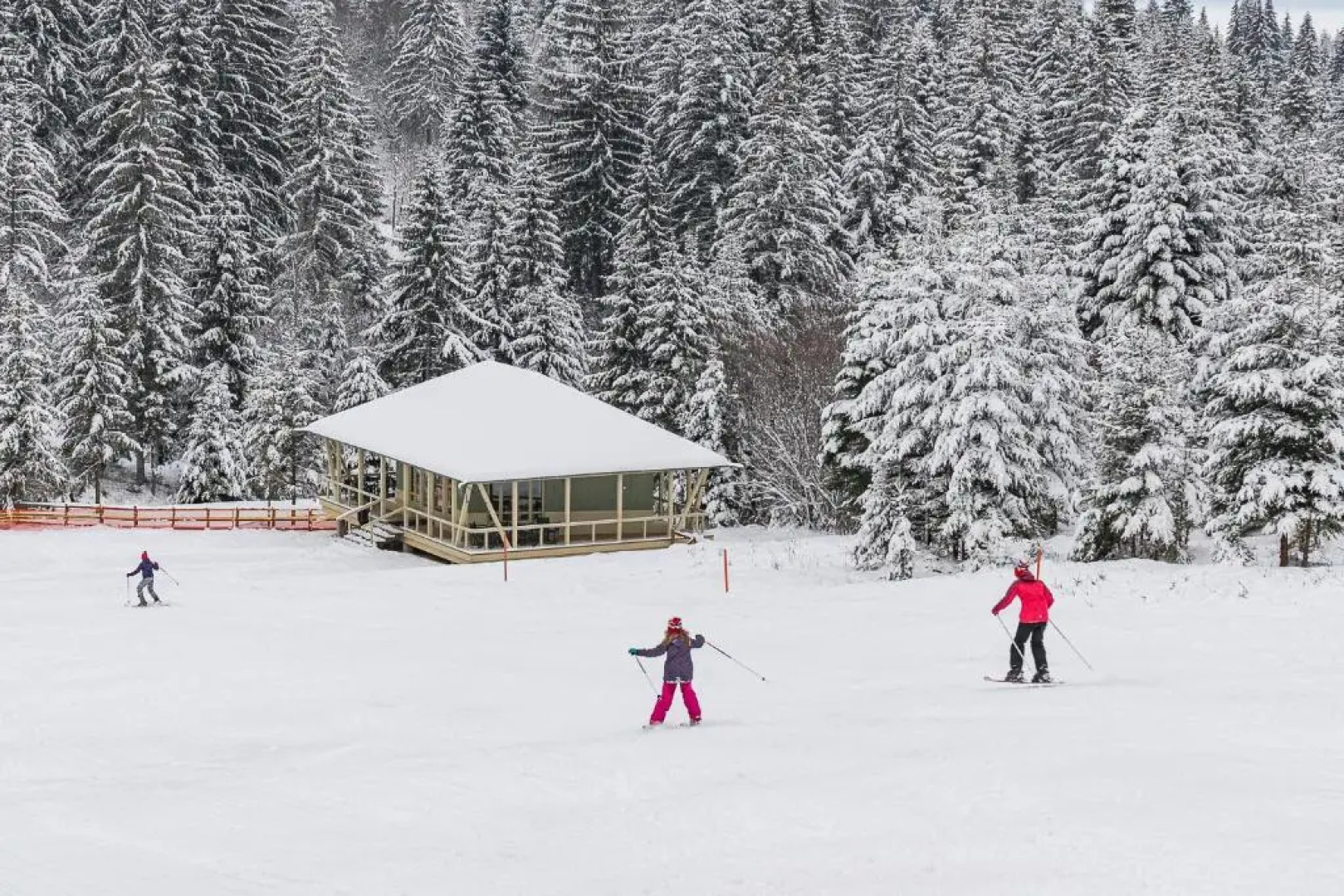 Mountain-Rest Pension