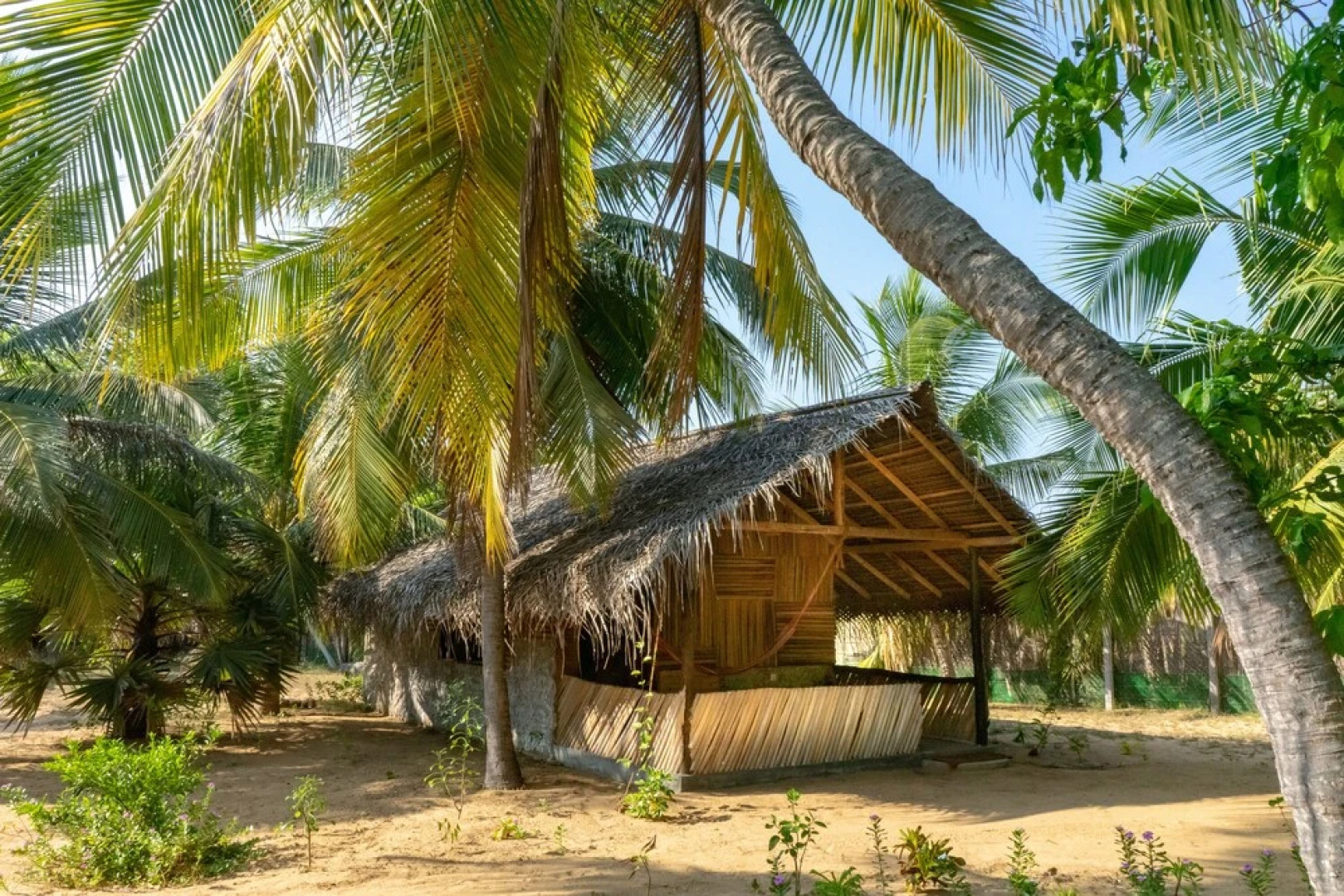 Valampuri Kite Resort