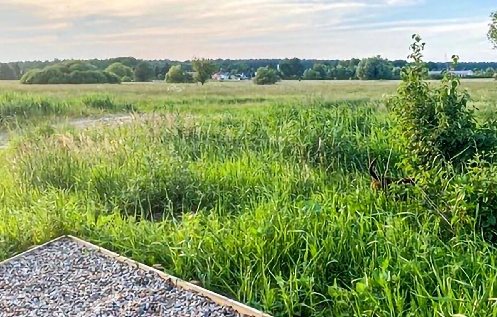 Awesome Home in Zerpenschleuse With 2 Bedrooms, Sauna and Wifi