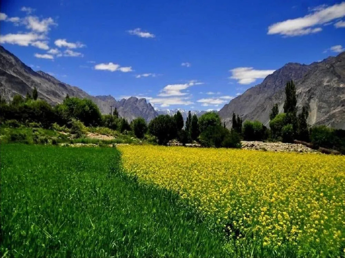 TIH Nubra Leisure Camp - Hunder