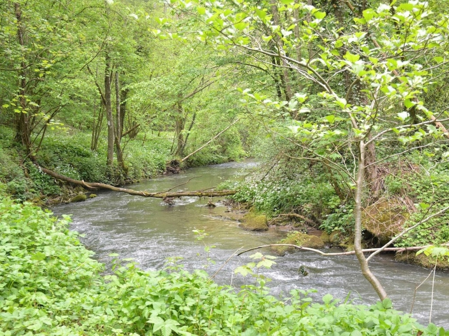 Village House With Swimming Pool, Billiards, Table Football, Ping-pong, Fitness