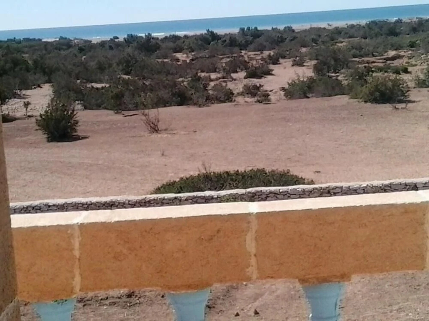 Dar Aalida