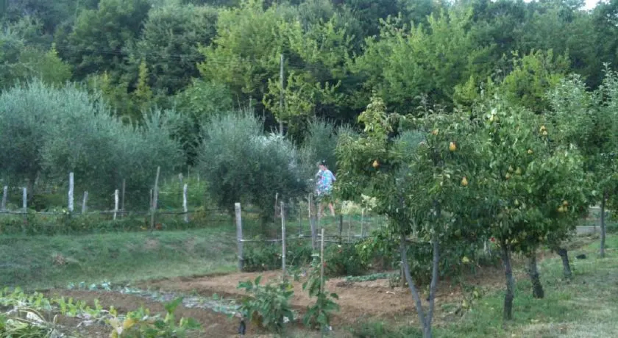 Rural Hospitality SantAnna