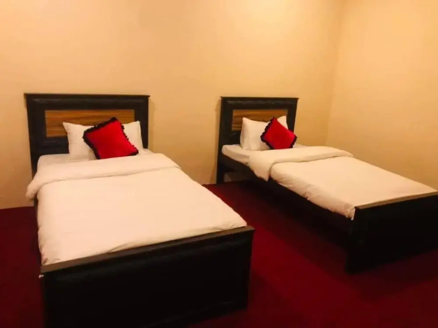 Green Guest House Altit Hunza