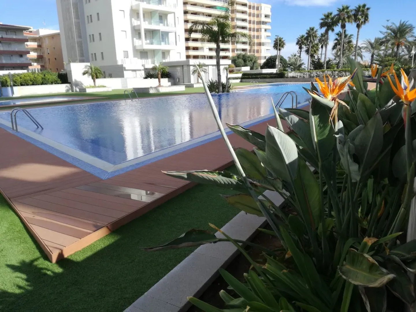 Casa en la Costa - Delfin