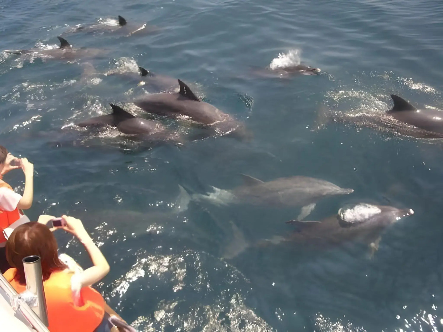 Amakusa Onsen Hotel Shikisakikan