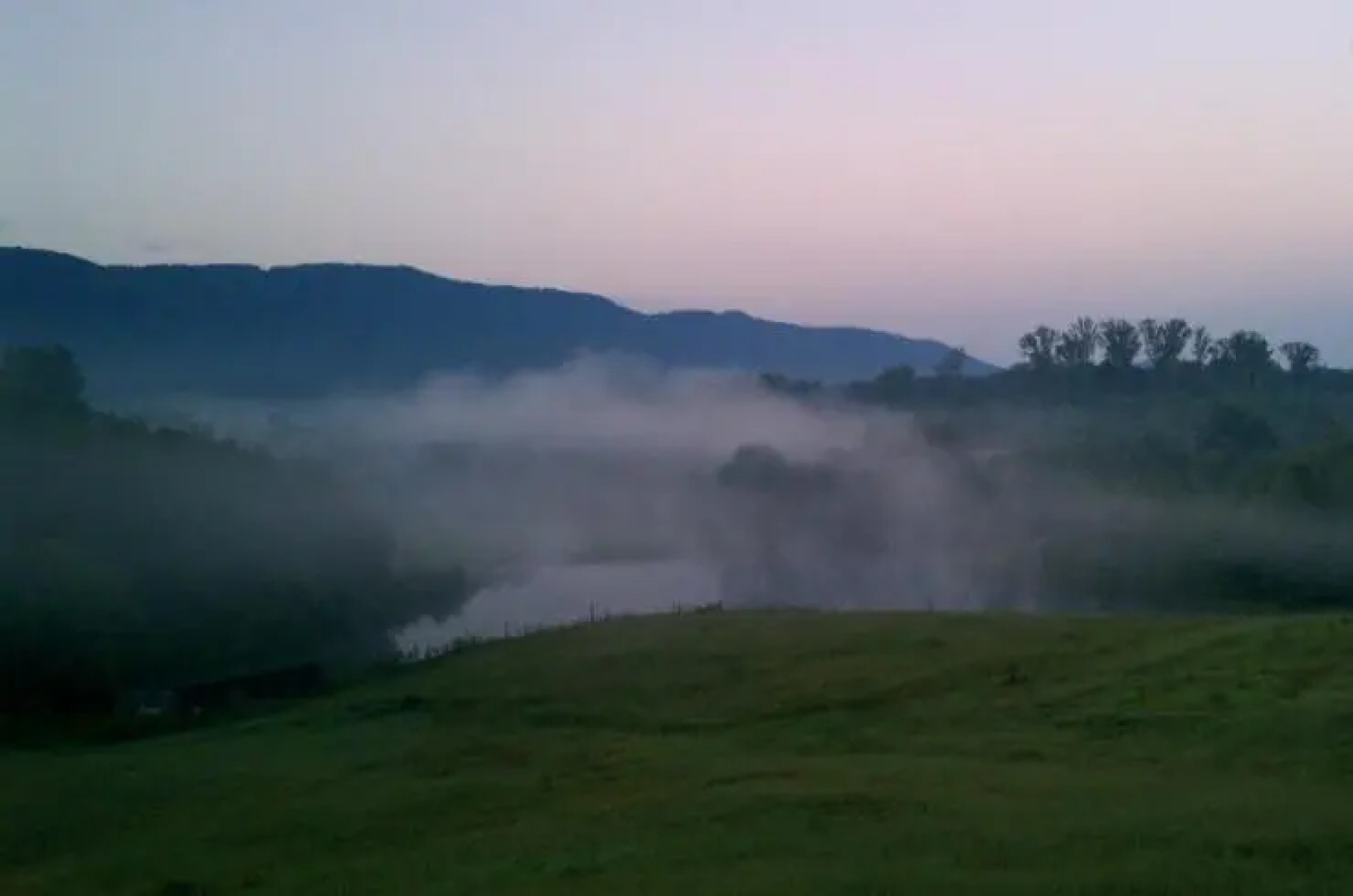 Misty Meadow Farm & Cabin