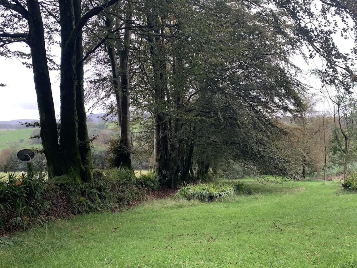 Ascension in the Fields