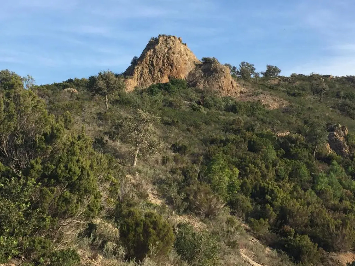 ibis Styles Fréjus Saint-Raphaël