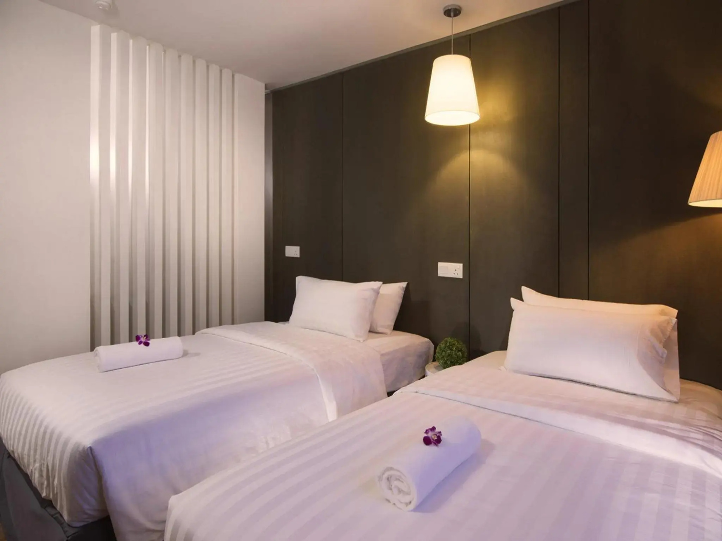 T+ Hotel Butterworth