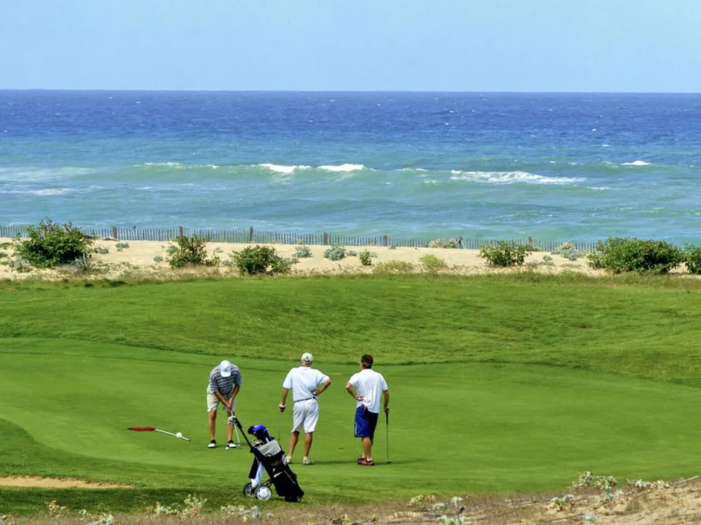 Clairière aux Chevreuils (MLP533)