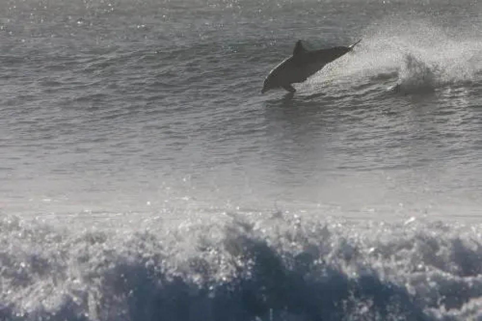 Mount Joy Guesthouse