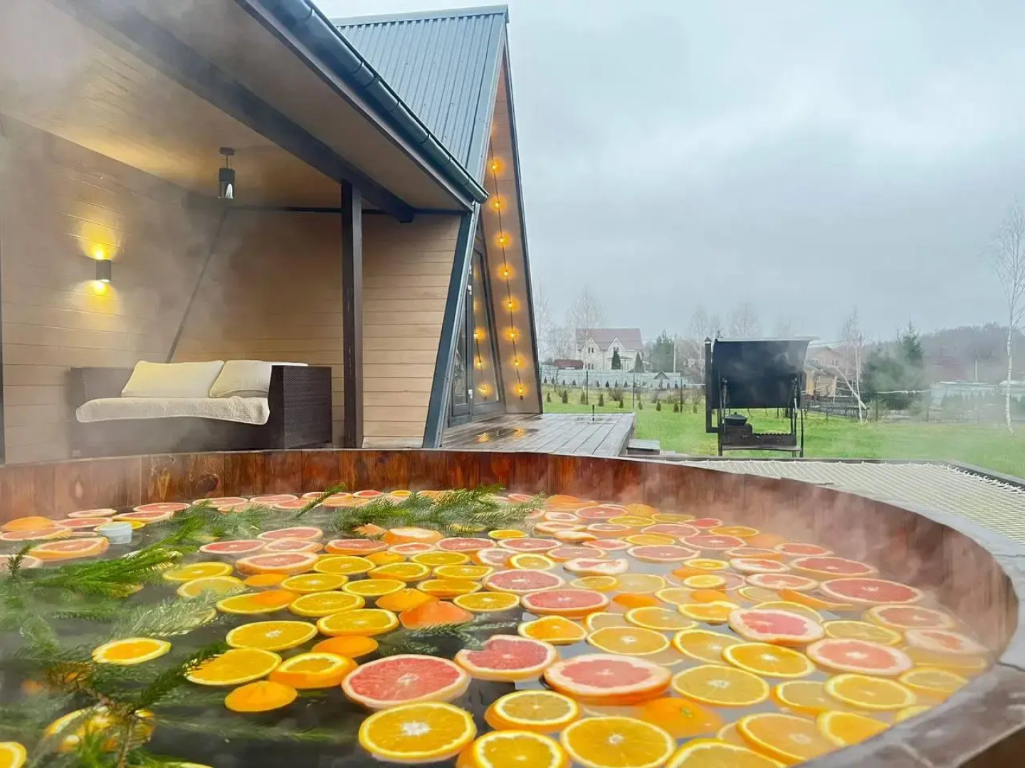 ДНТ Сосновый берег 1