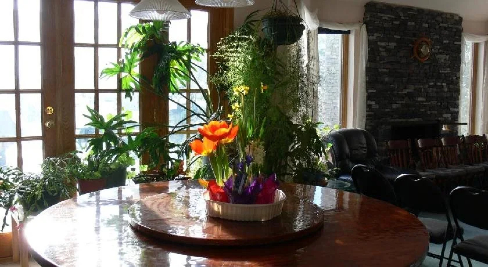 Mountainview Bed & Breakfast