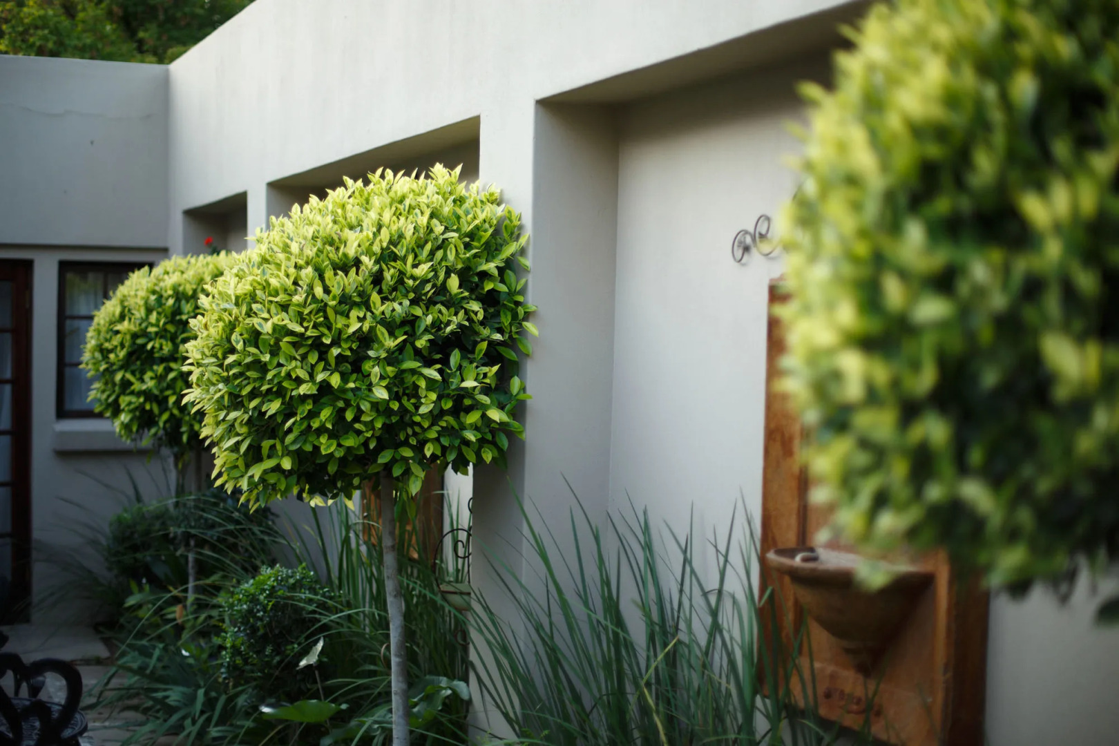 12 On Brecher Guest House