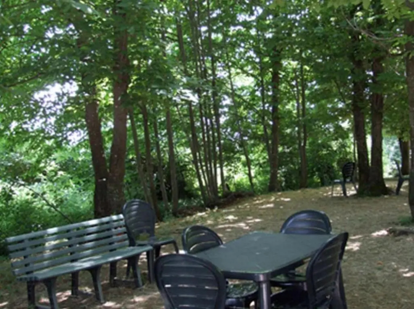 Agriturismo Il Castagneto