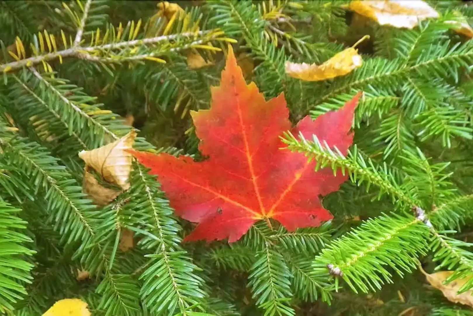 The Mission House Bed & Breakfast