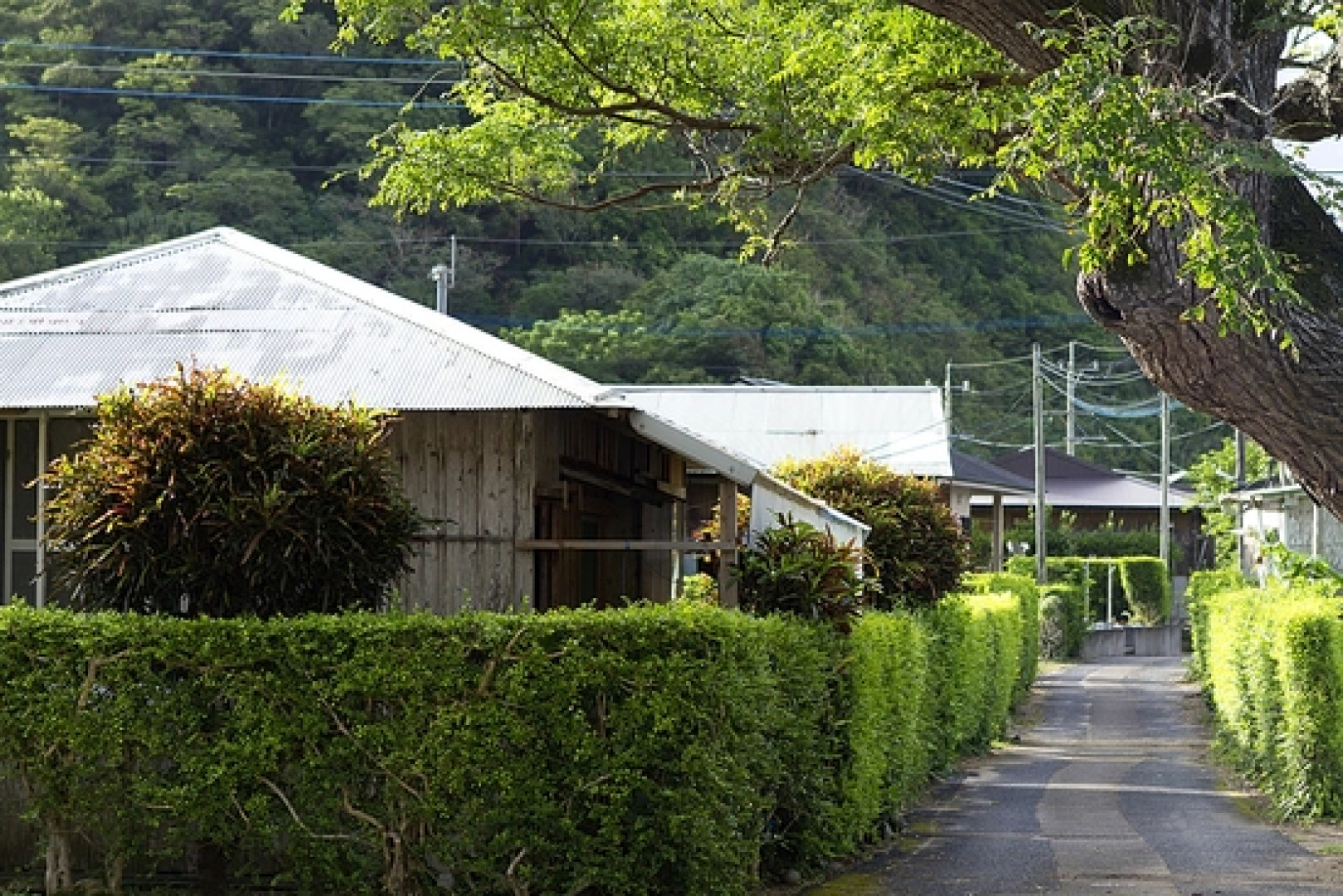 Denpaku Beach View Roof (Kakeromajima)